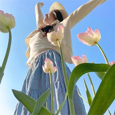 国际桥牌社