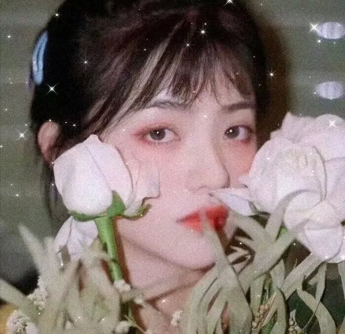 女人的面孔